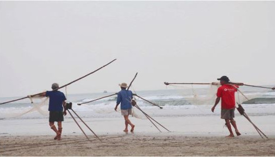 Thử một lần “săn” ruốc biển đặc sản Cửa Lò cùng ngư dân Nghệ An