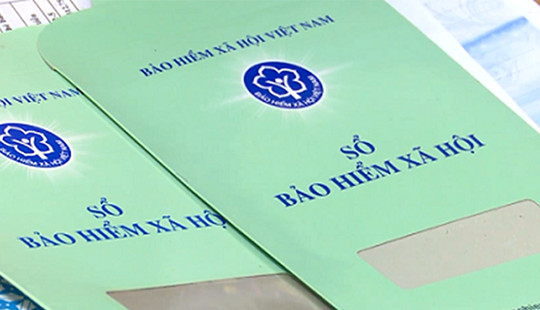 Một số thuật ngữ được sử dụng trong hướng dẫn áp dụng xử lý hình sự tội phạm lĩnh vực BHXH
