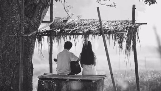 “Có chàng trai viết lên cây” cùng mối tình “mắt biếc”