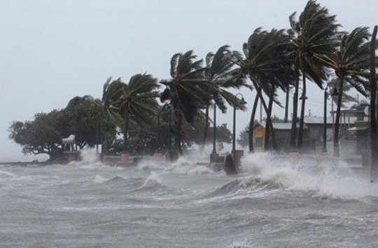 Chỉ đạo ứng phó với diễn biến của bão Phanfone