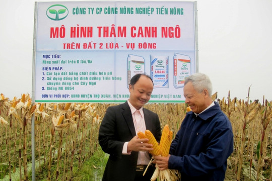 Phân bón Tiến Nông: Nâng cao giá trị nông sản Việt
