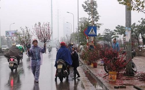 Thời tiết ngày 29 Tết (23/1): Sáng sớm có sương mù, trưa chiều hửng nắng