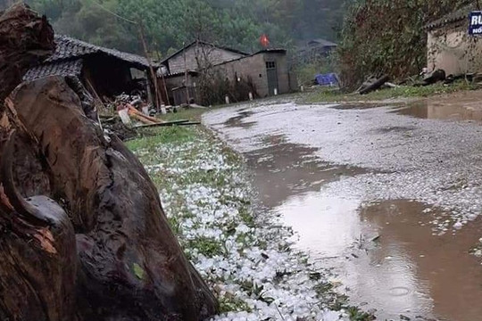 Mưa đá gây thiệt hại nhiều tỉnh thành miền Bắc, hơn 12.000 ngôi nhà hư hỏng nặng