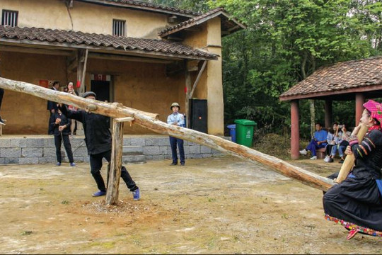 Độc đáo tục “cướp giọng gà ngày Tết" của người Pu Péo