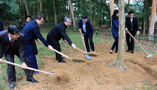 Ông Trần Quốc Vượng: Tết trồng cây đã trở thành phong trào thi đua sâu rộng trên toàn quốc