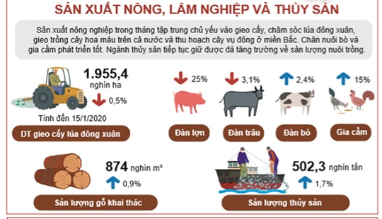 Tình hình kinh tế xã hội tháng đầu tiên của năm 2020