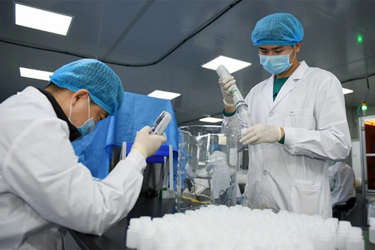 Số người chết vì virus corona tăng lên 565