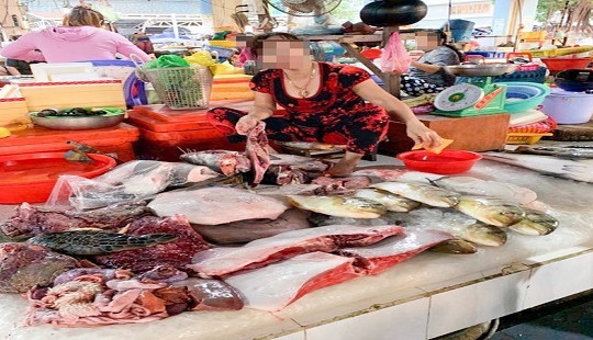 Xử lý nữ tiểu thương xẻ thịt rùa xanh bán ở chợ