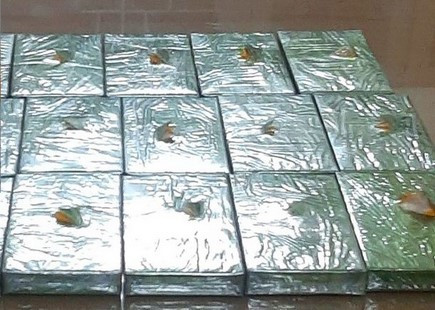Vận chuyển 17 bánh heroin trên tàu Bắc- Nam