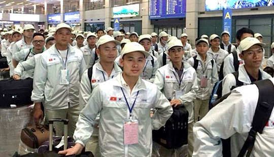 Tình hình sức khỏe người Việt Nam tại Hàn Quốc và việc triển khai các biện pháp bảo hộ công dân