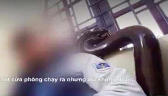 Khởi tố vụ án hình sự để điều tra vụ mua bán trinh tiết trẻ em