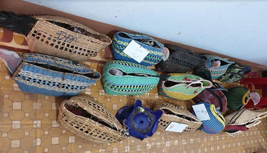 Tạm giữ đối tượng cầm đầu trường gà hàng trăm triệu đồng