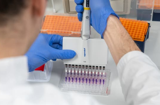 Nga bắt đầu thử nghiệm các mẫu vắc-xin coronavirus trên động vật