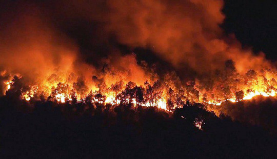 Xử phạt một người dân 90 triệu đồng vì đốt thực bì gây cháy rừng
