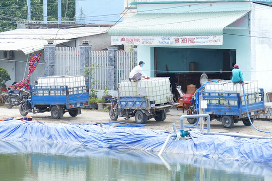 Người dân miền Tây nai mình chống hạn mặn