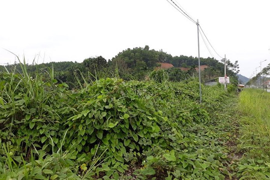 Yên Bái: Mua đất đấu giá, hơn 3 năm chờ đợi vẫn chưa được bàn giao sử dụng