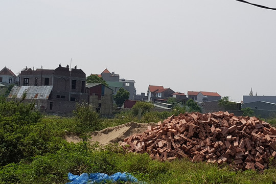 Vụ “băm nát” đất nông nghiệp tại Từ Sơn: Đề nghị cách chức Bí thư, Chủ tịch UBND phường Châu Khê