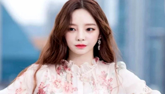 Anh trai Goo Hara viết tâm thư tố cáo mẹ nhẫn tâm