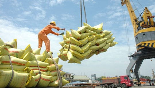 Yêu cầu làm rõ việc mở tờ khai xuất khẩu gạo