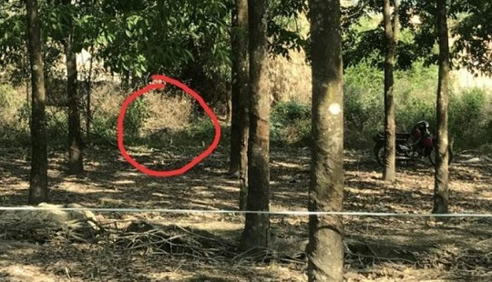 Phát hiện thi thể nam giới cháy đen trong tư thế quỳ gối