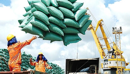 Tạm ứng trước hạn ngạch 100 nghìn tấn gạo xuất khẩu trong tháng 5/2020