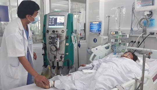 Ăn nấm lạ, 3 người trong gia đình nguy kịch