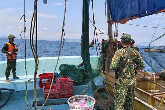 Nổ súng truy bắt tàu giã cào đánh bắt hải sản trái phép