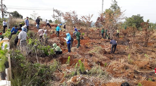 Đắk Song (Đắk Nông): Phát động chương trình trồng cây, gây rừng