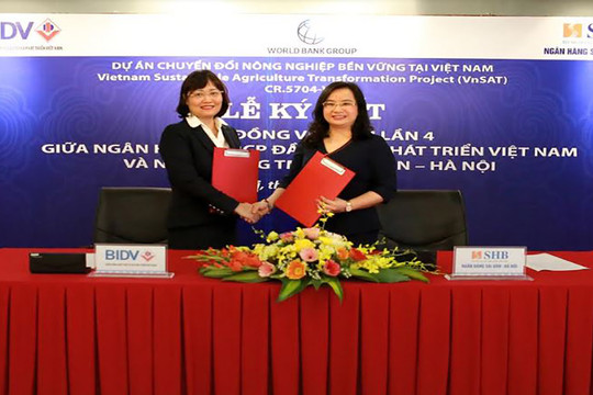 SHB đầu tư vốn đẩy mạnh phát triển kinh tế Đồng bằng sông Cửu Long