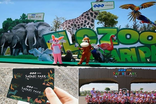 FLC Zoo Safari Park Quy Nhơn - Điểm đến không thể bỏ lỡ trong hành trình khám phá “xứ Nẫu”