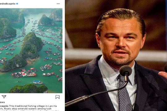 Leonardo DiCaprio kêu gọi bảo vệ môi trường ở vịnh Lan Hạ