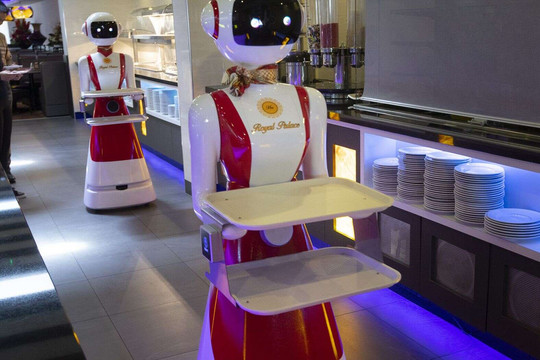 Robot phục vụ thực khách tại nhà hàng ở Hà Lan