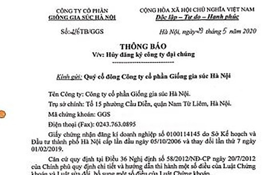 Công ty cổ phần Giống Gia súc Hà Nội thông báo hủy công ty đại chúng