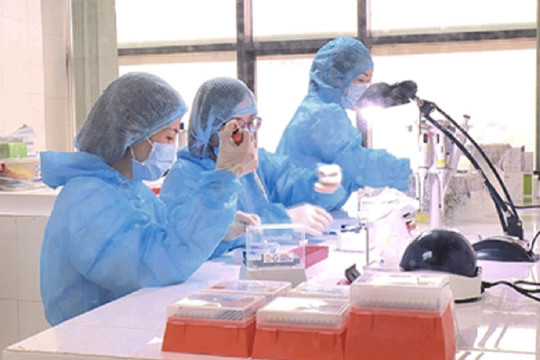 Người phụ nữ vượt đường mòn từ Trung Quốc về TP.HCM âm tính lần 2 với SARS-CoV-2