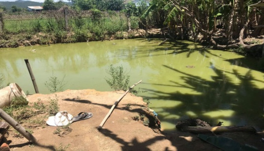Kéo điện châm cá, 2 cha con tử vong