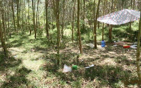 Bắt giam nam sinh giấu bé trai 5 tuổi trong rừng