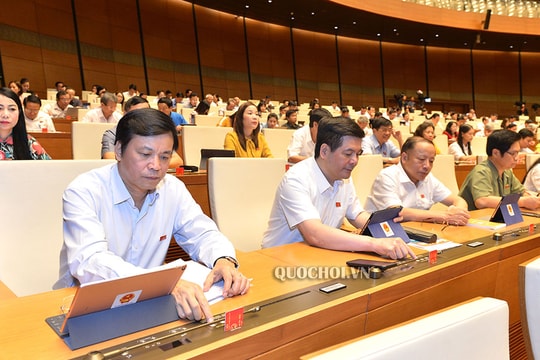 Chính thức thông qua Luật Doanh nghiệp; Luật Phòng, chống thiên tai và Luật Đê điều