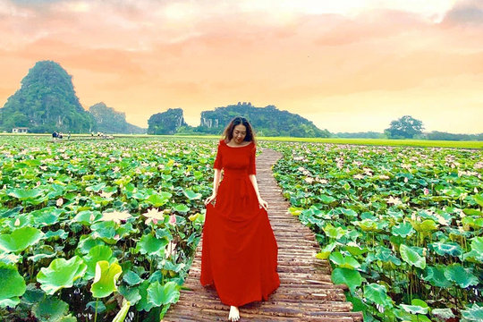 Đầm sen ở Hang Múa nở rộ, giới trẻ đua nhau thả dáng