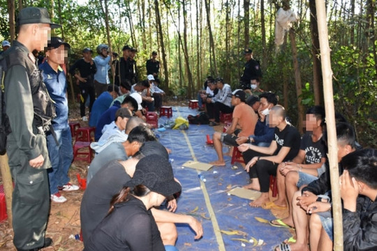 Triệt xoá sòng bạc trong rừng keo, thu giữ 100 triệu đồng