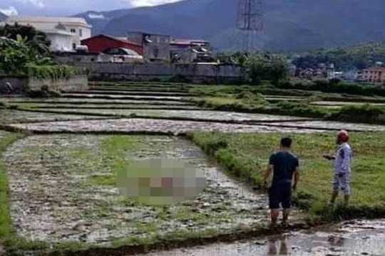 Khởi tố vụ thảm án 3 người tử vong ở Điện Biên