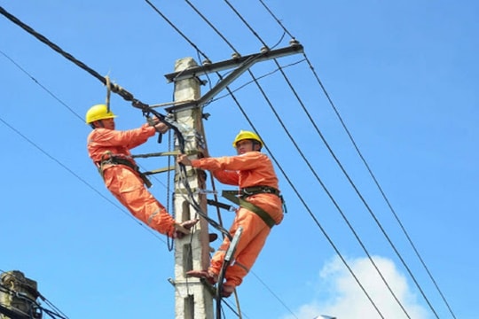 Đình chỉ công tác Phó Giám đốc Công ty Điện lực Quảng Bình và Giám đốc Điện lực Đồng Hới