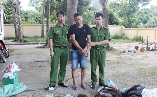 Bắt đối tượng vận chuyển số lượng lớn động vật quý hiếm từ Lào vào Việt Nam