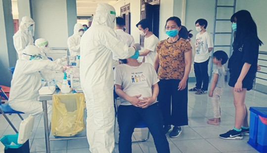 Tàn cuộc nhậu, nhổ trộm hơn 70 cây sâm Ngọc Linh