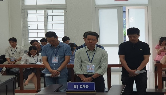 Lừa đảo chiếm đoạt hàng tỷ đồng, nhiều lãnh đạo doanh nghiệp dắt nhau vào tù