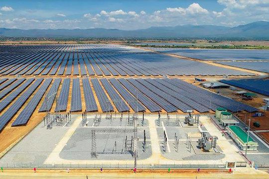 Sức bật sau khủng hoảng từ đầu tư bền vững