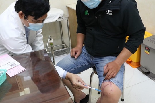 Mùa mưa đến, cẩn trọng với kiến ba khoang