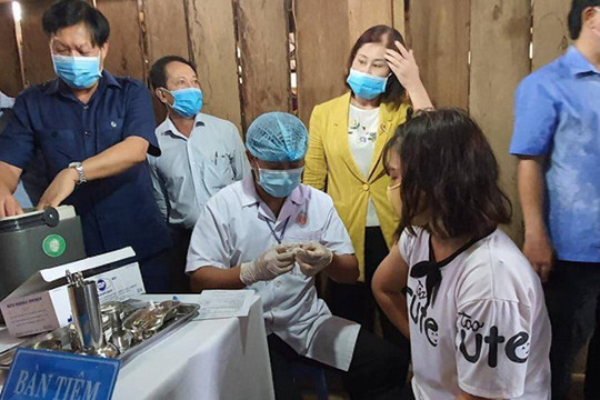 Thủ tướng yêu cầu tăng cường công tác phòng, chống bệnh bạch hầu