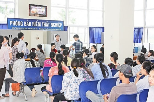 Gần 31 triệu người thất nghiệp, cao nhất 10 năm qua