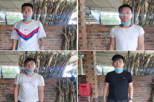 Cô gái thuê xe cho 4 người nước ngoài trốn khỏi khu cách ly y tế
