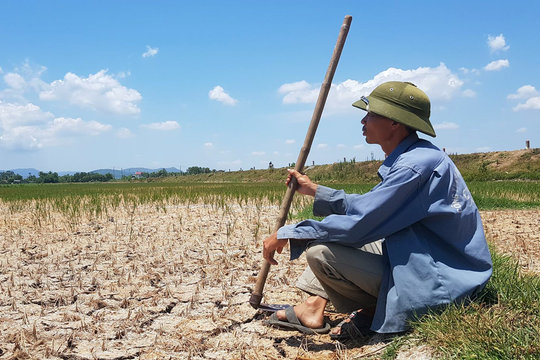 Thanh Hóa: Hạn hán kéo dài, hàng nghìn ha lúa có nguy cơ bị xóa sổ
